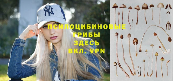 каннабис Абаза