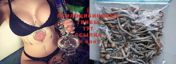 шишки Абдулино