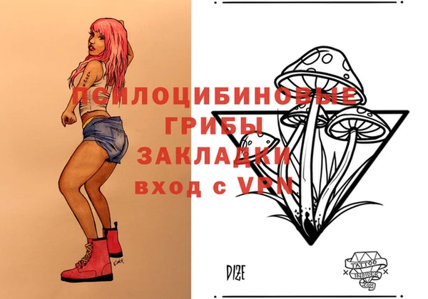 шишки Абдулино