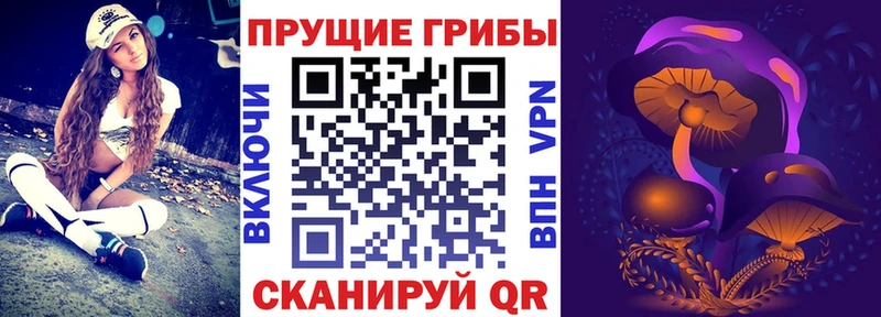 MEGA зеркало  Зубцов  Псилоцибиновые грибы мухоморы 